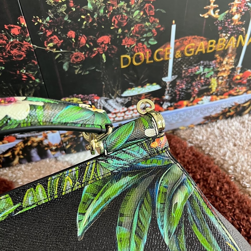 Dragons Bags DGn Luxury Bag --93829
