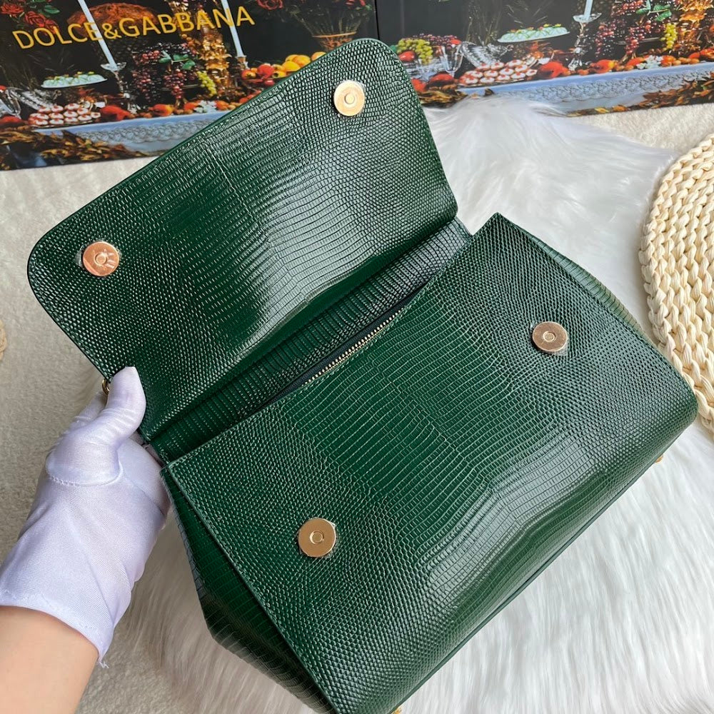 Dragons Bags DGn Luxury Bag --93824