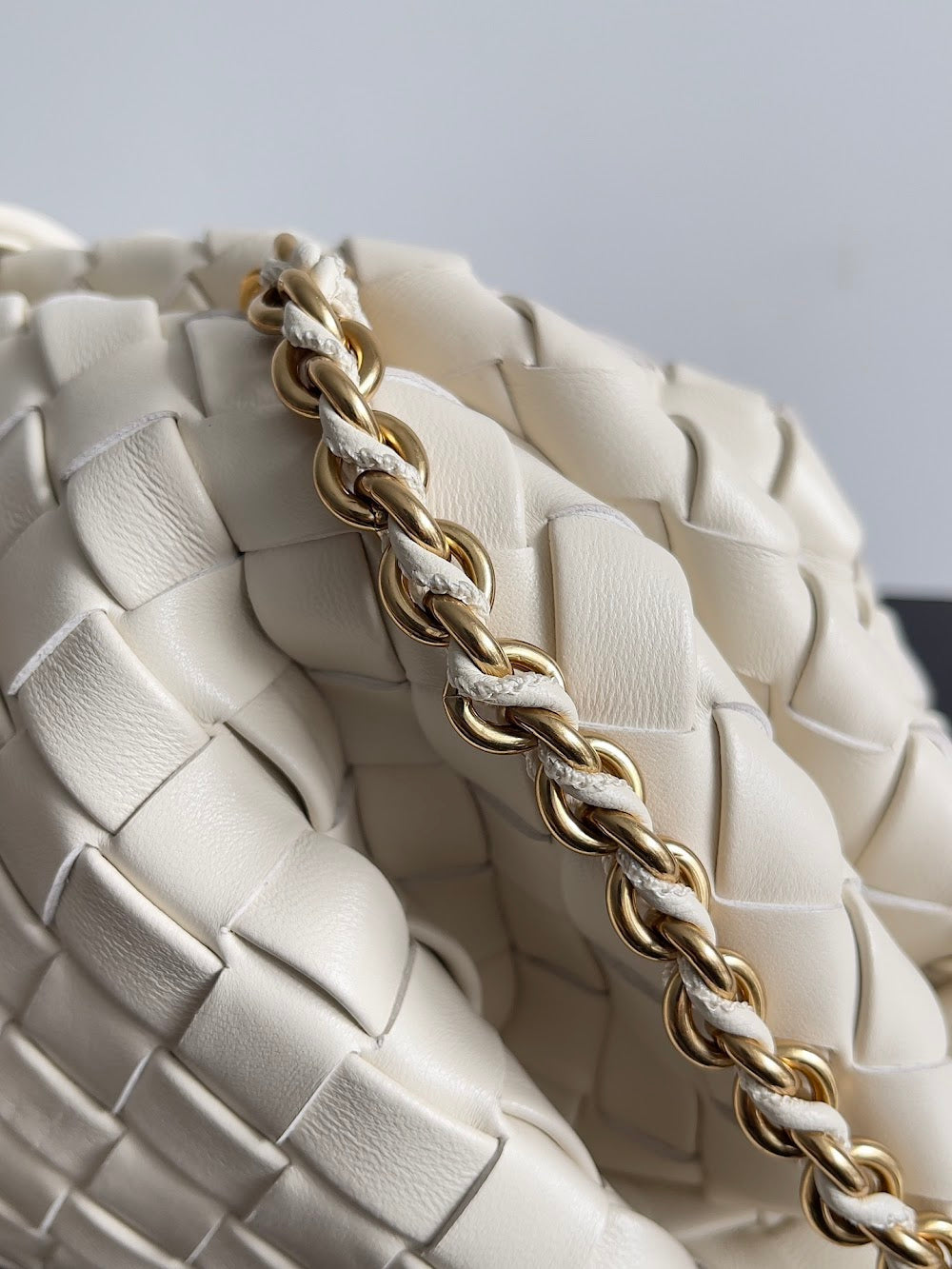 Dragons Bags Bottegan Luxury Bag --91267