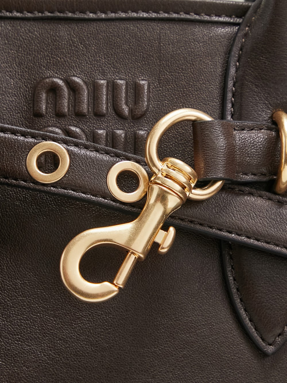 Dragons Bags Miun Miun Luxury Bag --123107