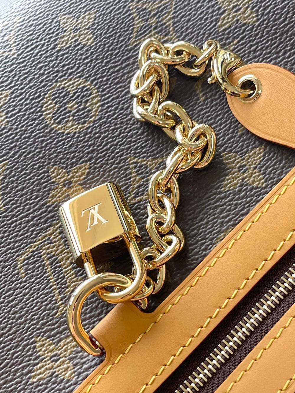 Dragons Bags ln Luxury Bag --97386