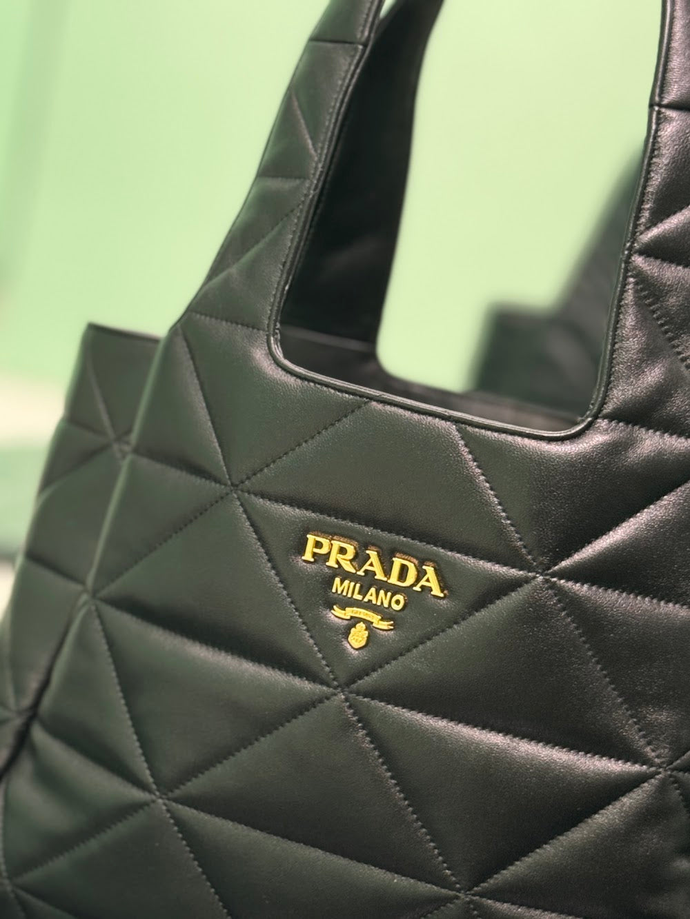 Dragons Bags Pradn Luxury Bag --102750