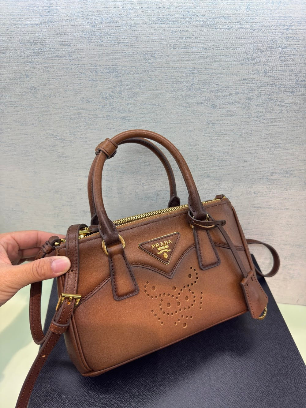 Dragons Bags Pradn Luxury Bag --102958