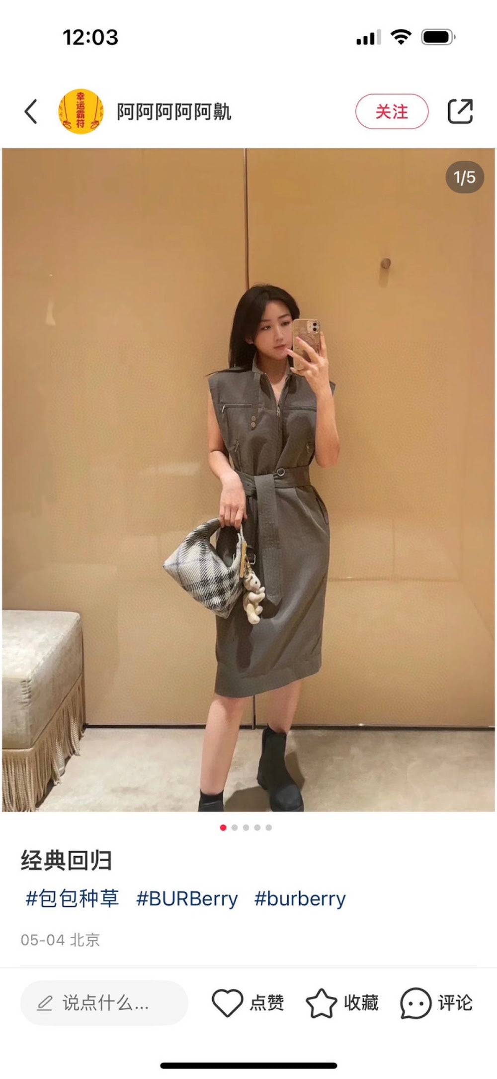 Dragons Bags Burberryn Luxury Bag --91586