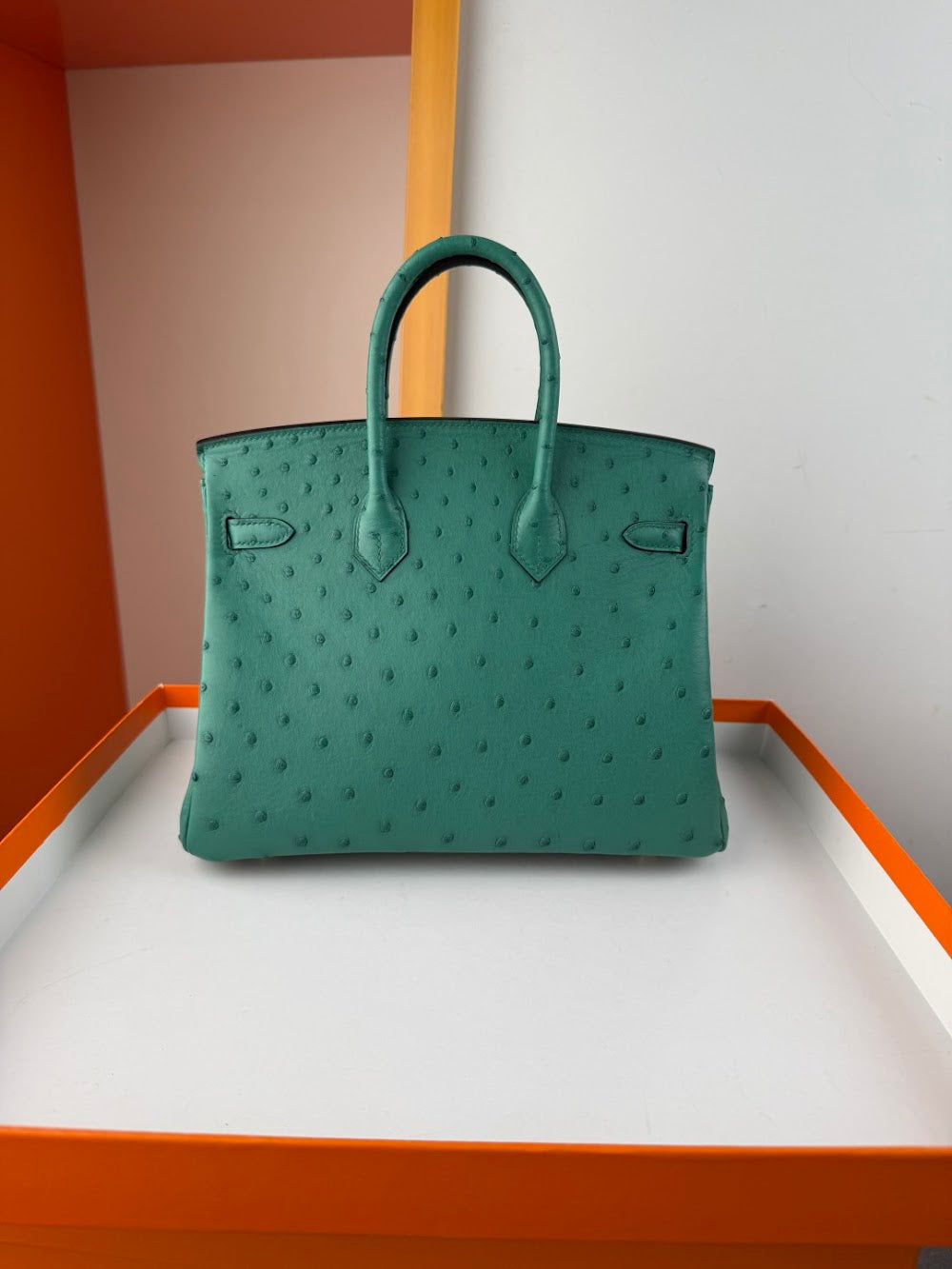 Dragons BagsHermesn Luxury Bag --116757