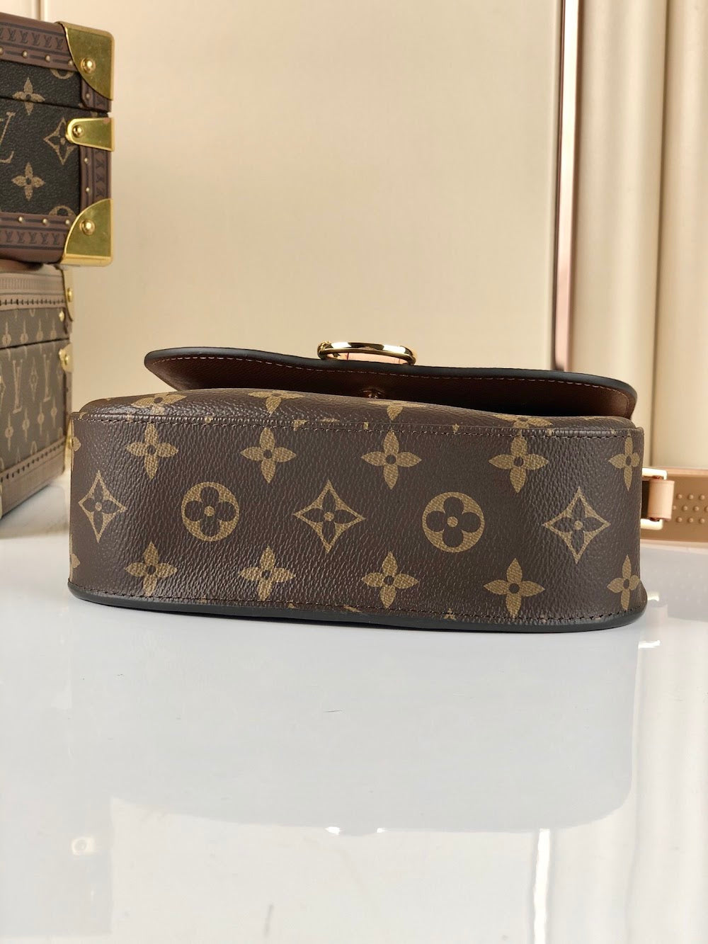 Dragons Bags ln Luxury Bag --60471