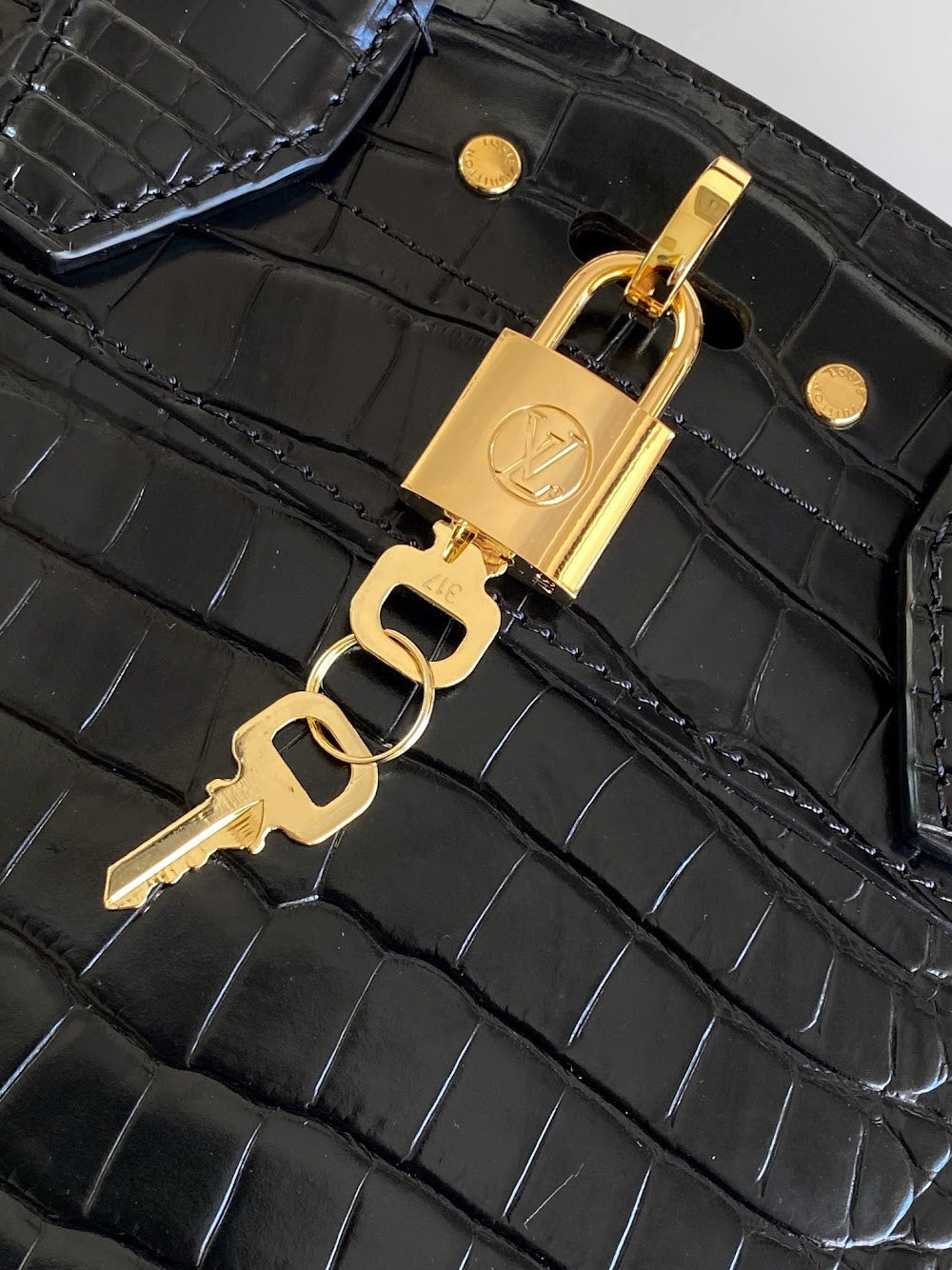 Dragons Bags ln Luxury Bag --96190