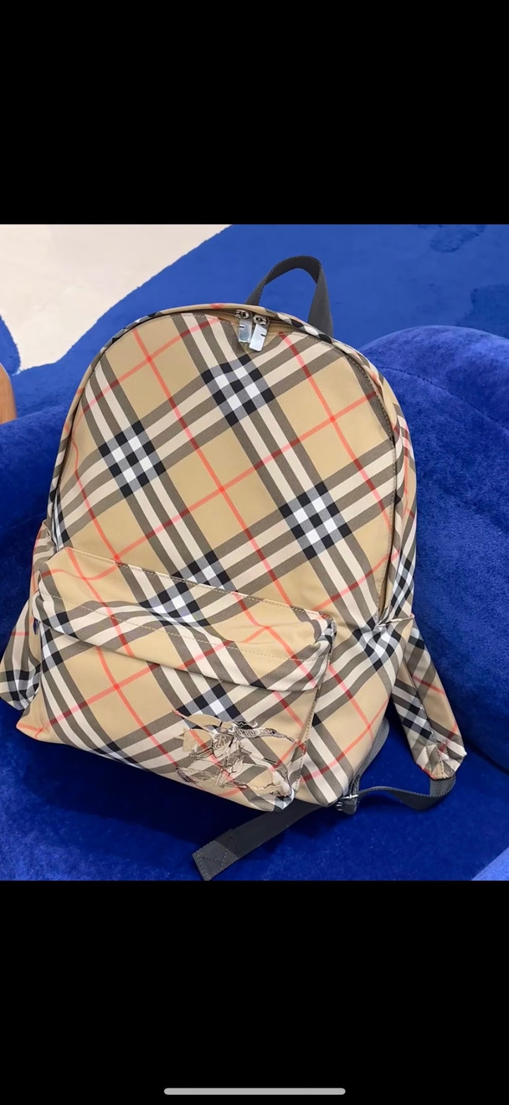 Dragons Bags Burberryn Luxury Bag --93113
