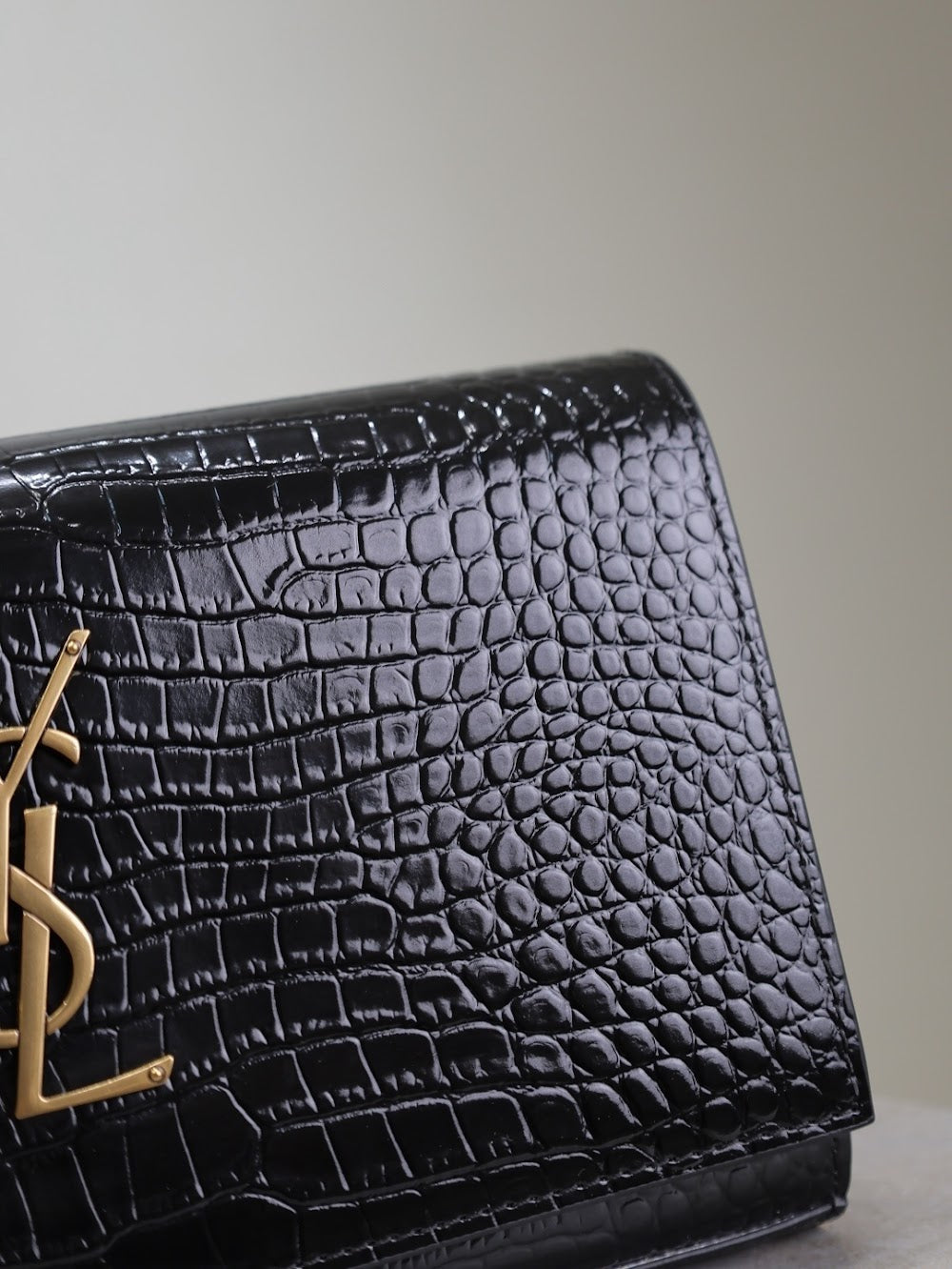 Dragons Bags YSLn Luxury Bag --119661