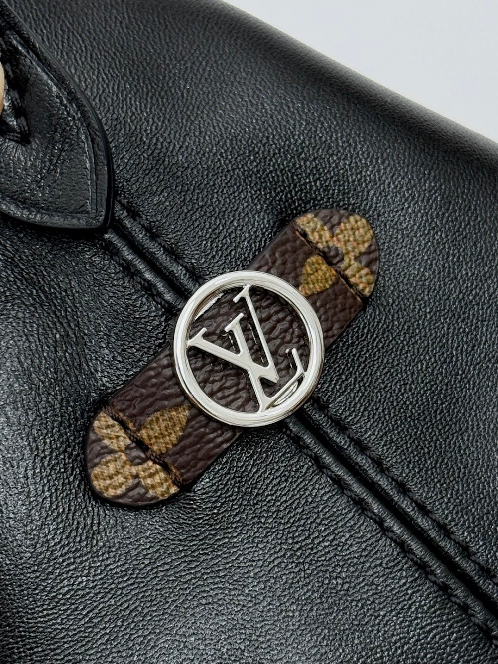 Dragons Bags ln Luxury Bag --96912