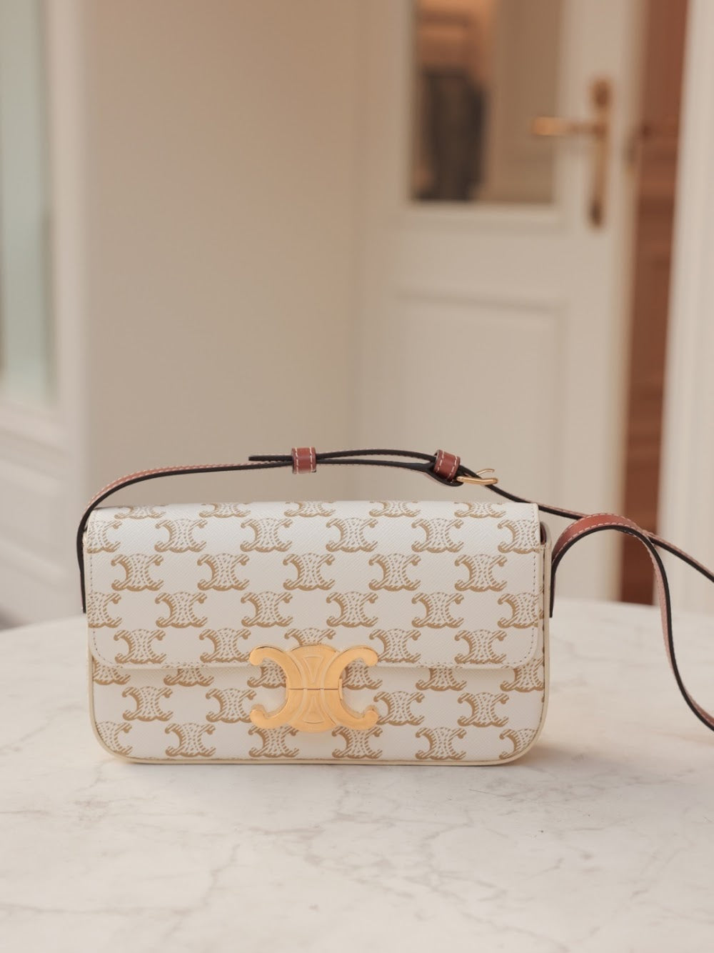 Dragons Bags Celine Luxury Bag --112071