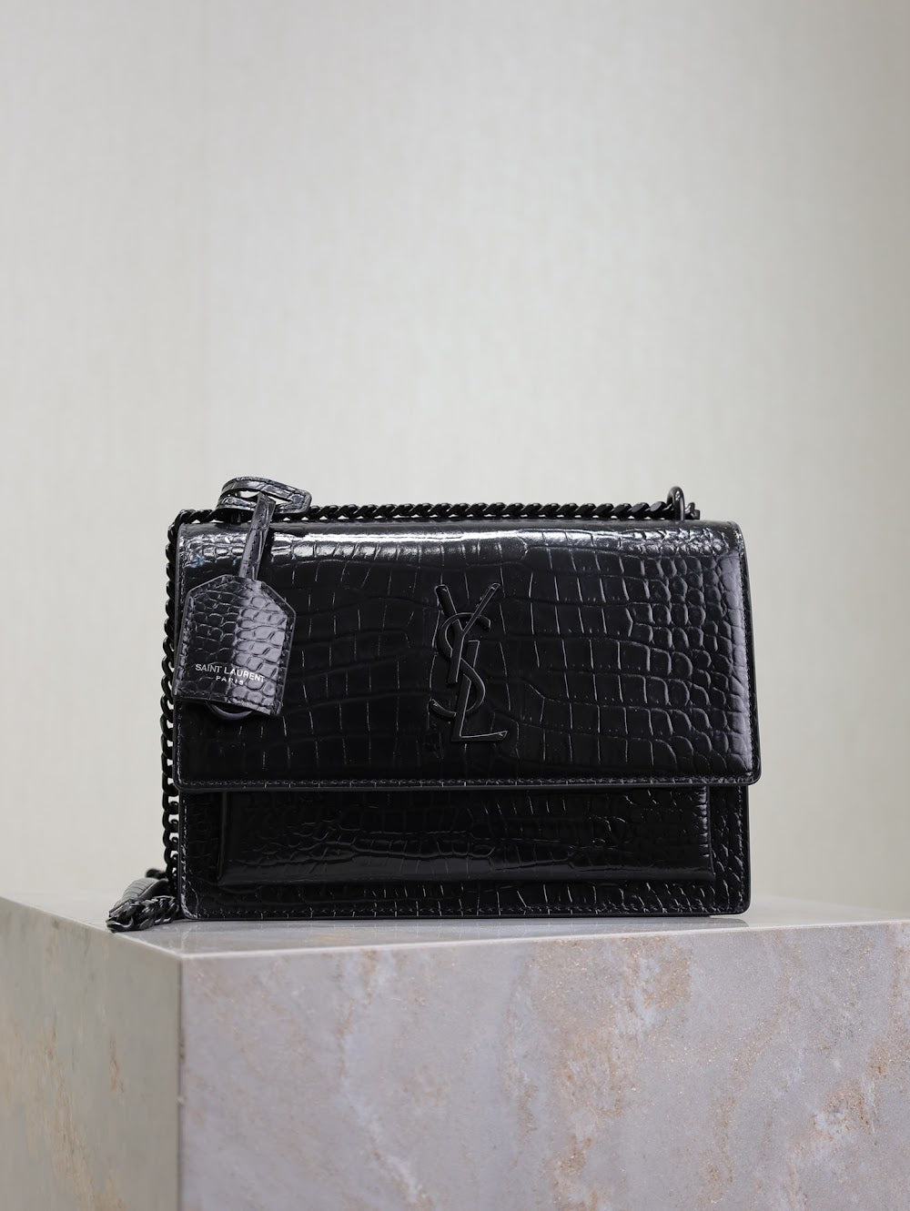 Dragons Bags YSLn Luxury Bag --119535