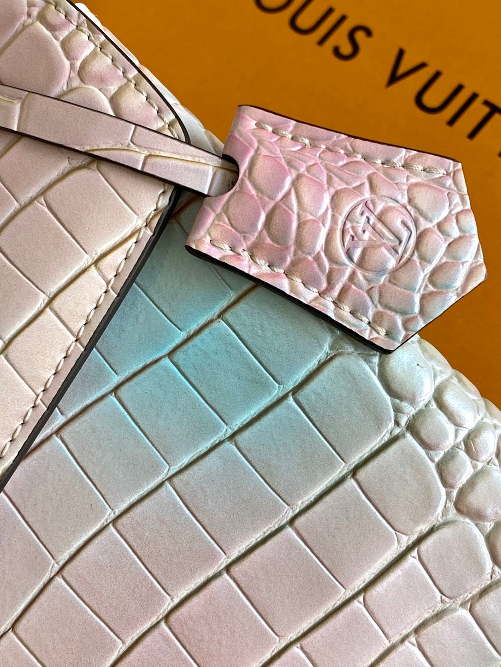 Dragons Bags ln Luxury Bag --96261