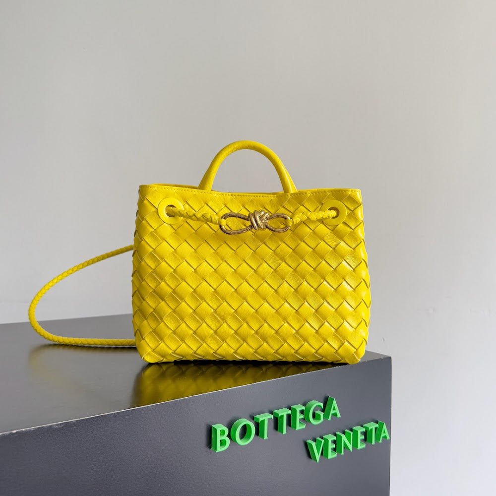 new-designer-premium-bags-nm10645