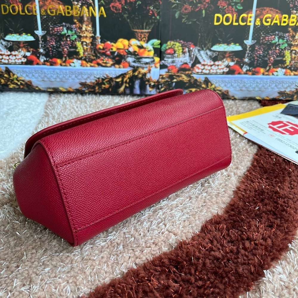 Dragons Bags DGn Luxury Bag --94021