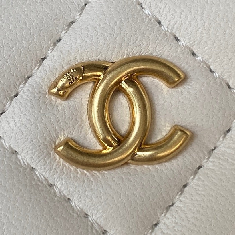 Dragons Bags CHn Luxury Bag --112813