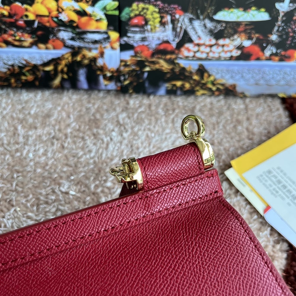 Dragons Bags DGn Luxury Bag --94021