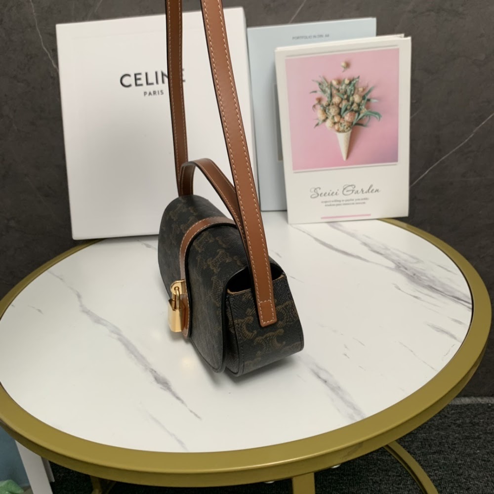 Dragons Bags Celine Luxury Bag --112165