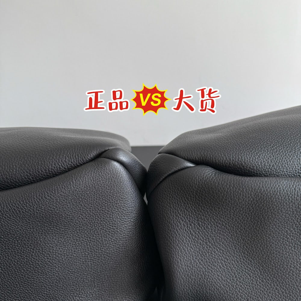 Dragons Bags Bottegan Luxury Bag --90608