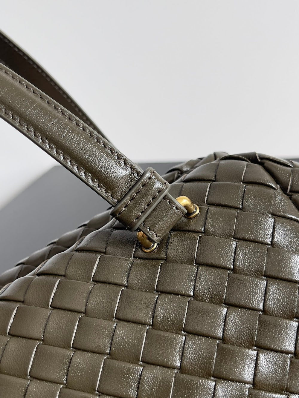 Dragons Bags Bottegan Luxury Bag --91370