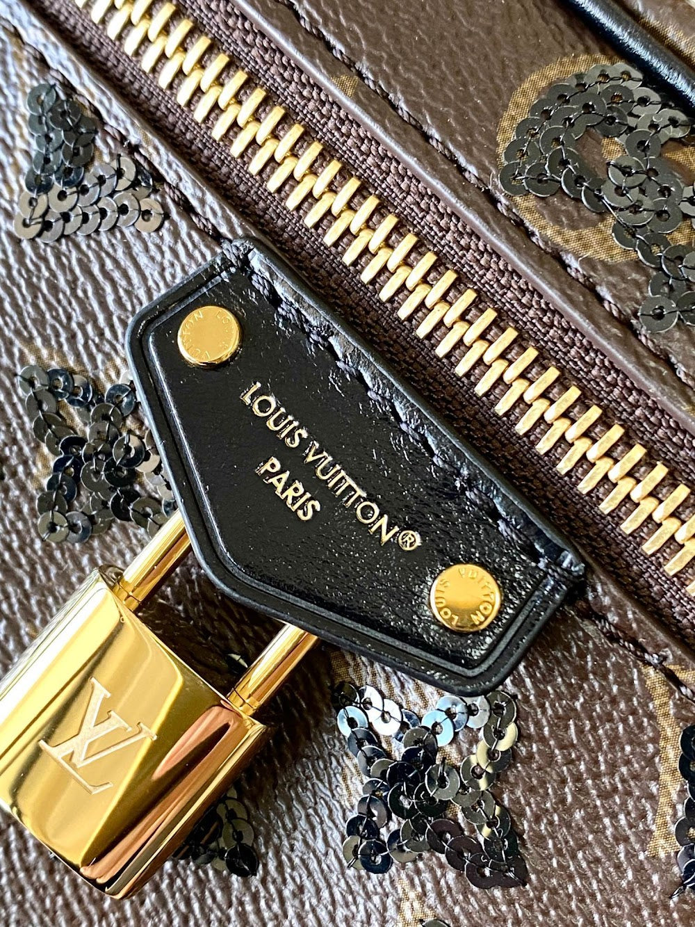 Dragons Bags ln Luxury Bag --95551