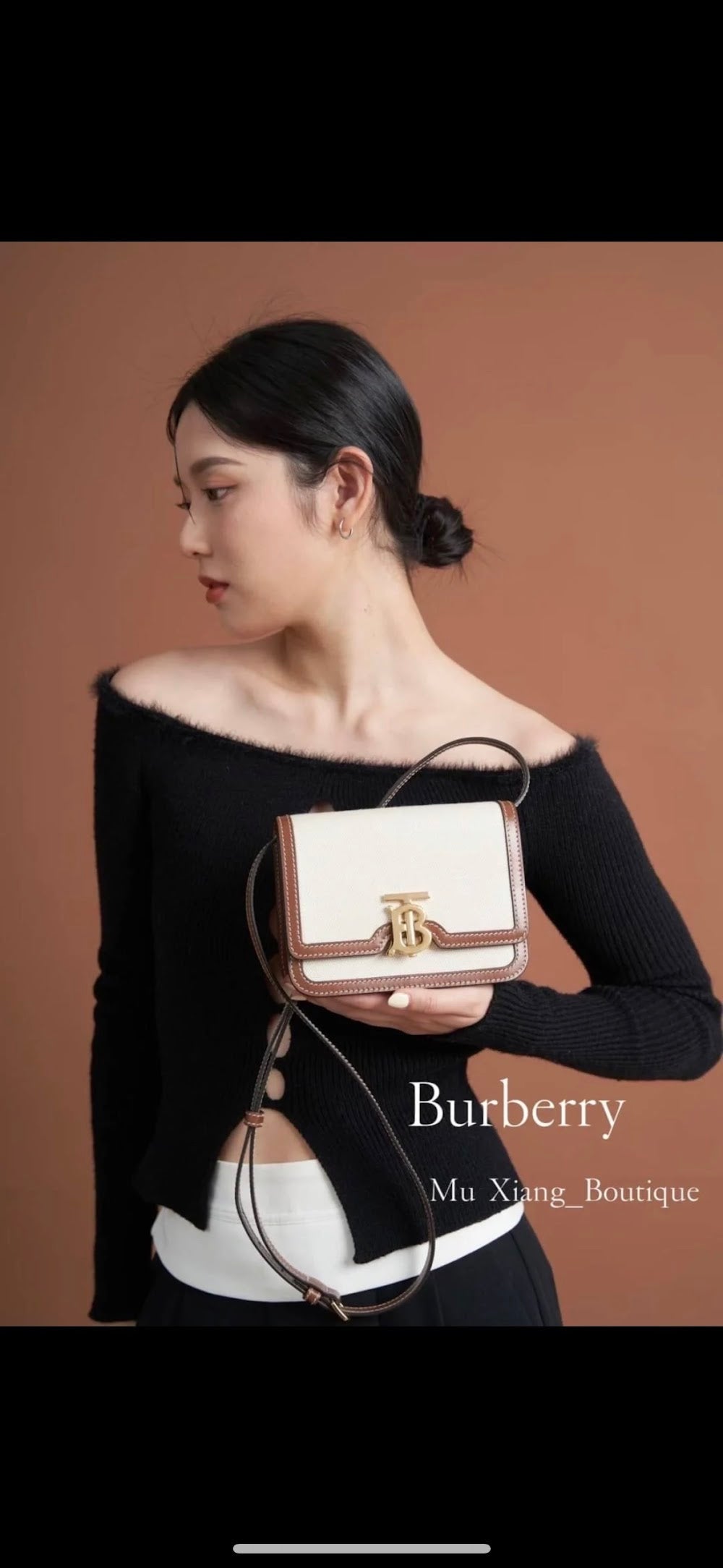 Dragons Bags Burberryn Luxury Bag --91618