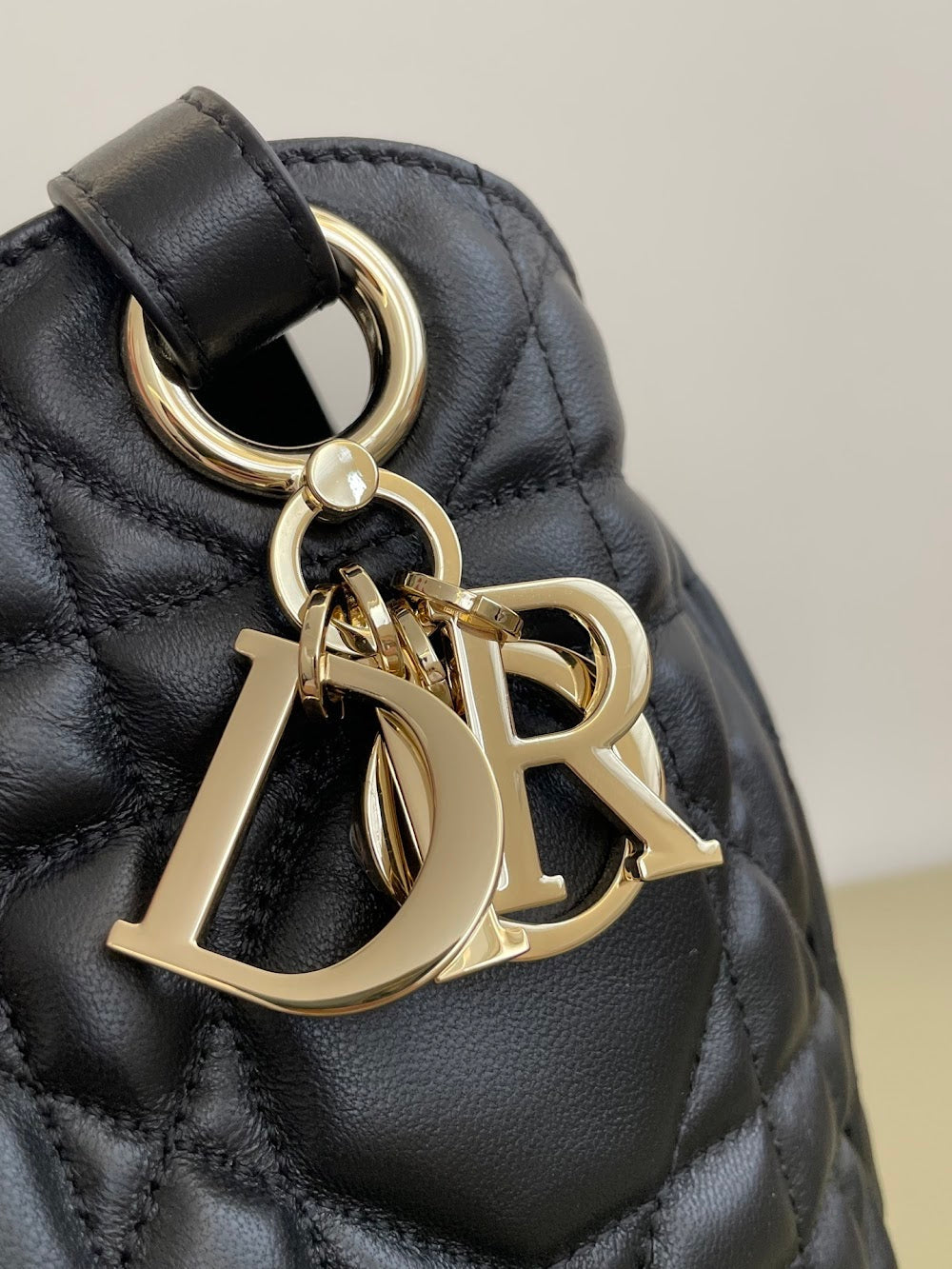 Dragons BagsDiorn Luxury Bag --114960
