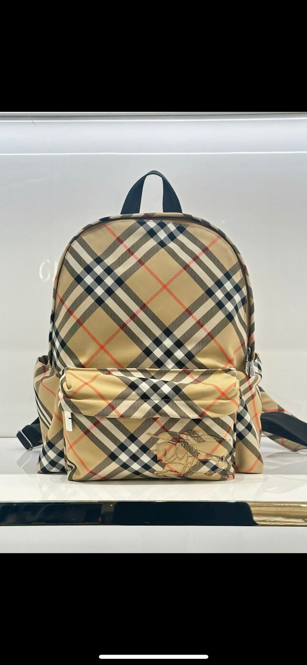 Dragons Bags Burberryn Luxury Bag --93129