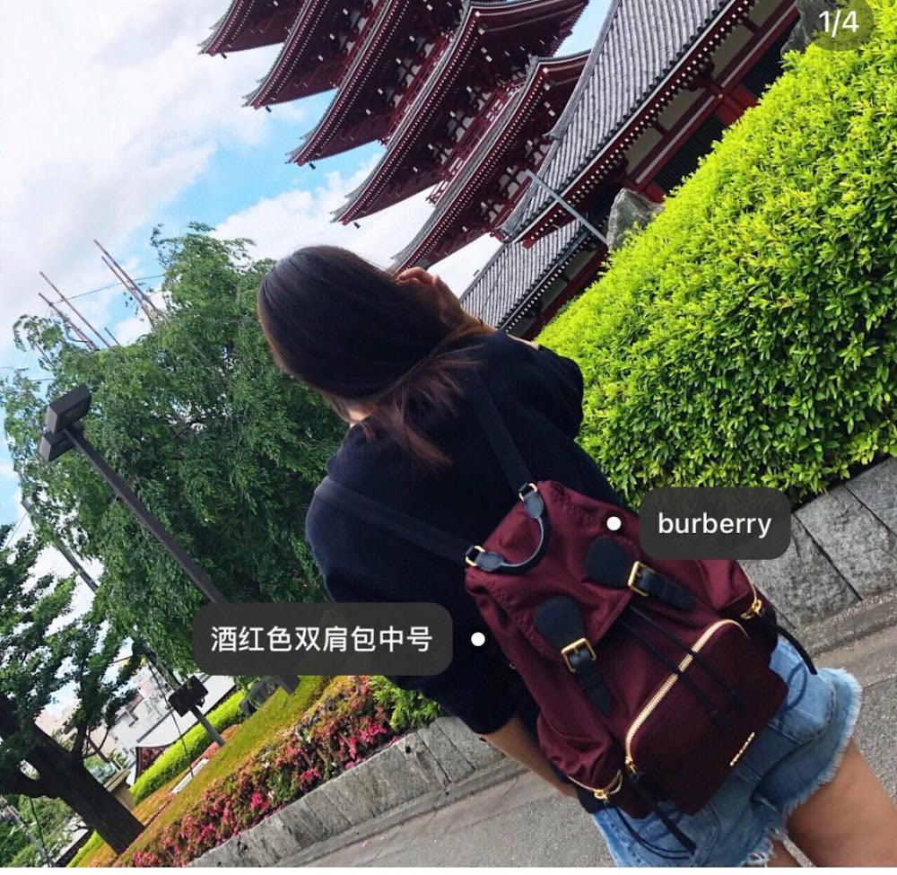 Dragons Bags Burberryn Luxury Bag --91733