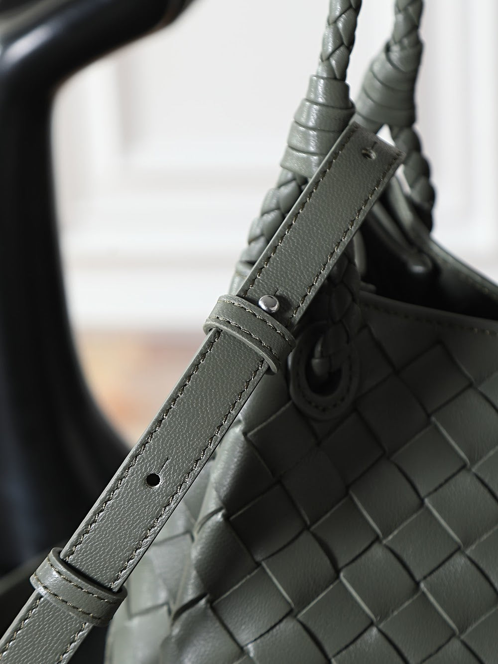 Dragons Bags Bottegan Luxury Bag --91425
