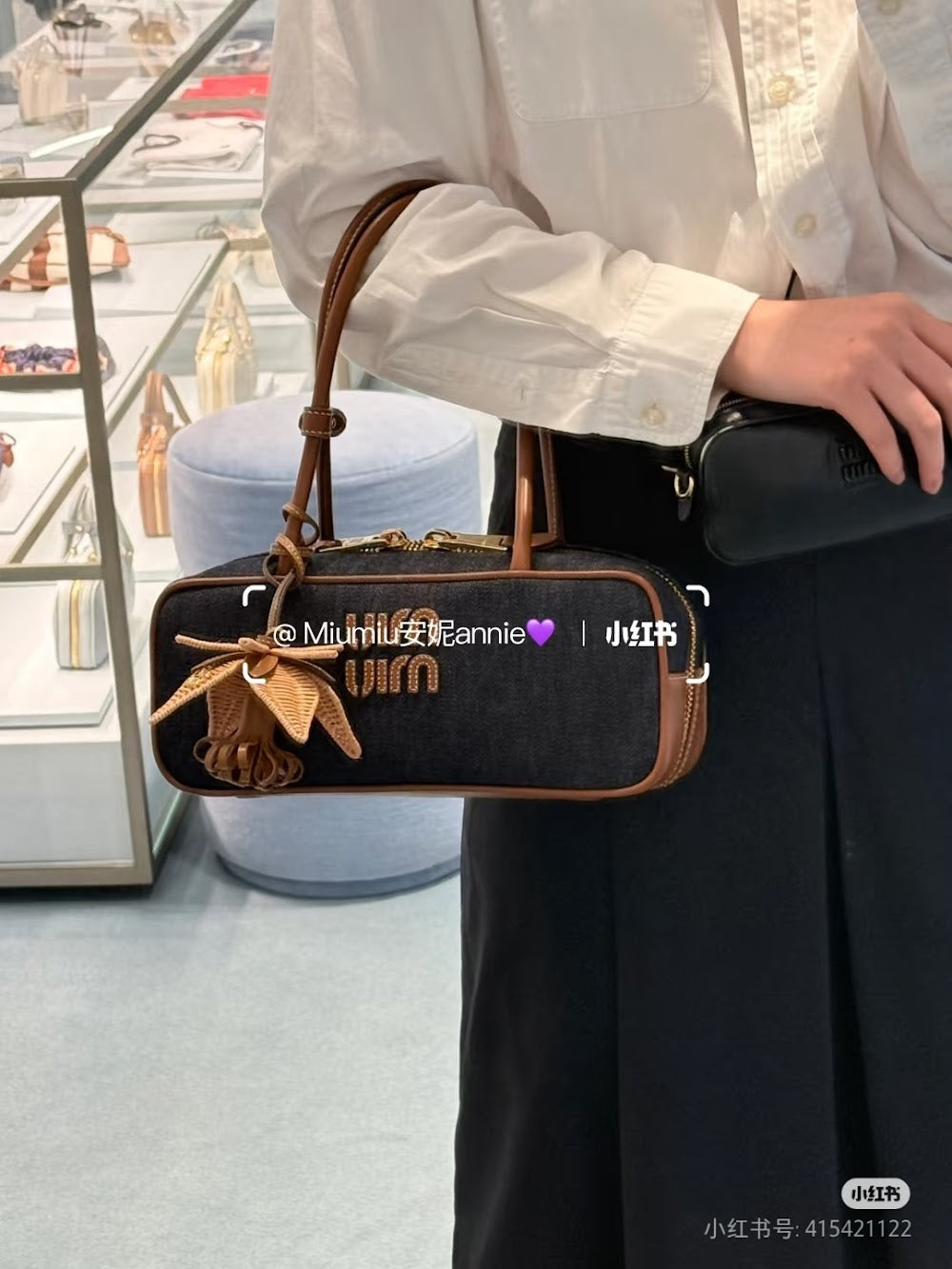 Dragons Bags Miun Miun Luxury Bag --123717