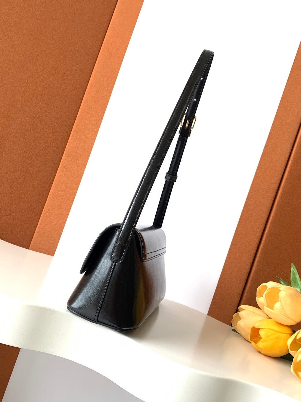 Dragons Bags Celine Luxury Bag --112090