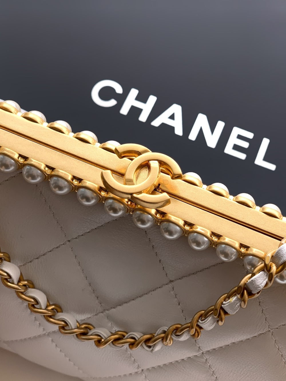 Dragons Bags CHn Luxury Bag --112778