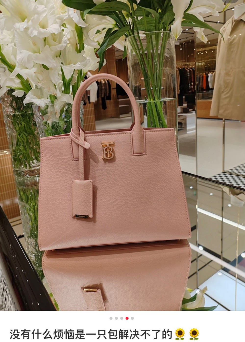 Dragons Bags Burberryn Luxury Bag --91875
