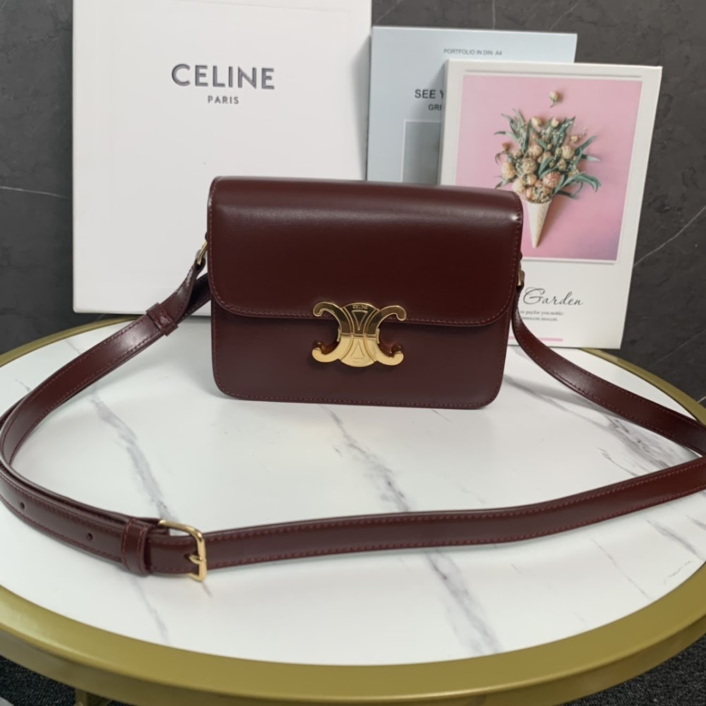 Dragons Bags Celine Luxury Bag --111994