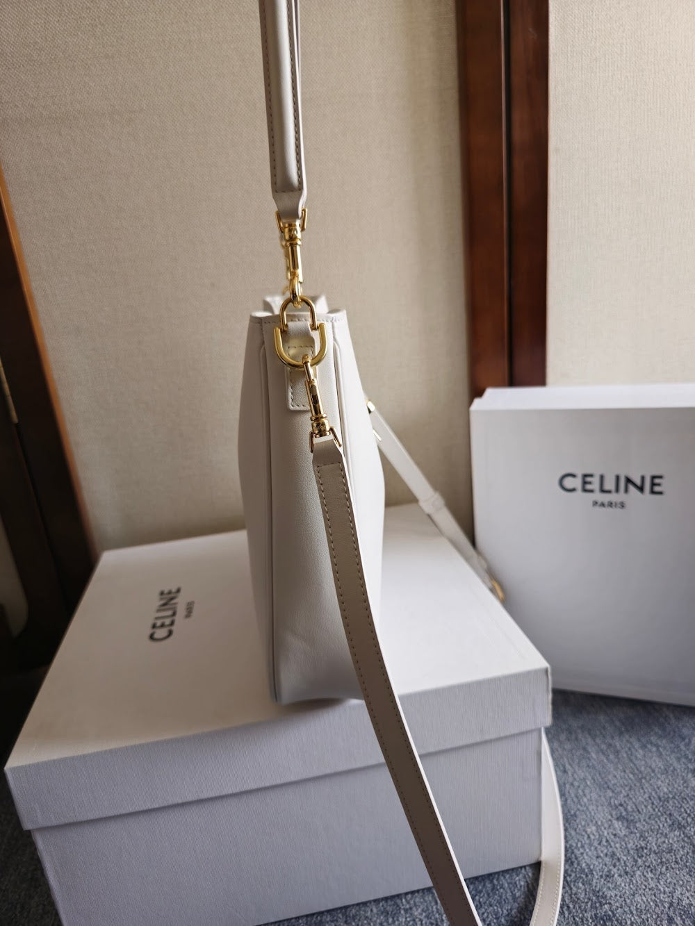 Dragons Bags Celine Luxury Bag --112208