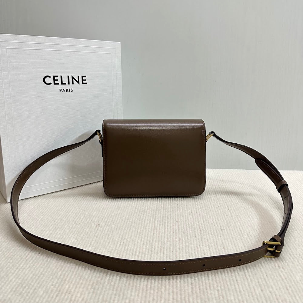 Dragons Bags Celine Luxury Bag --111988