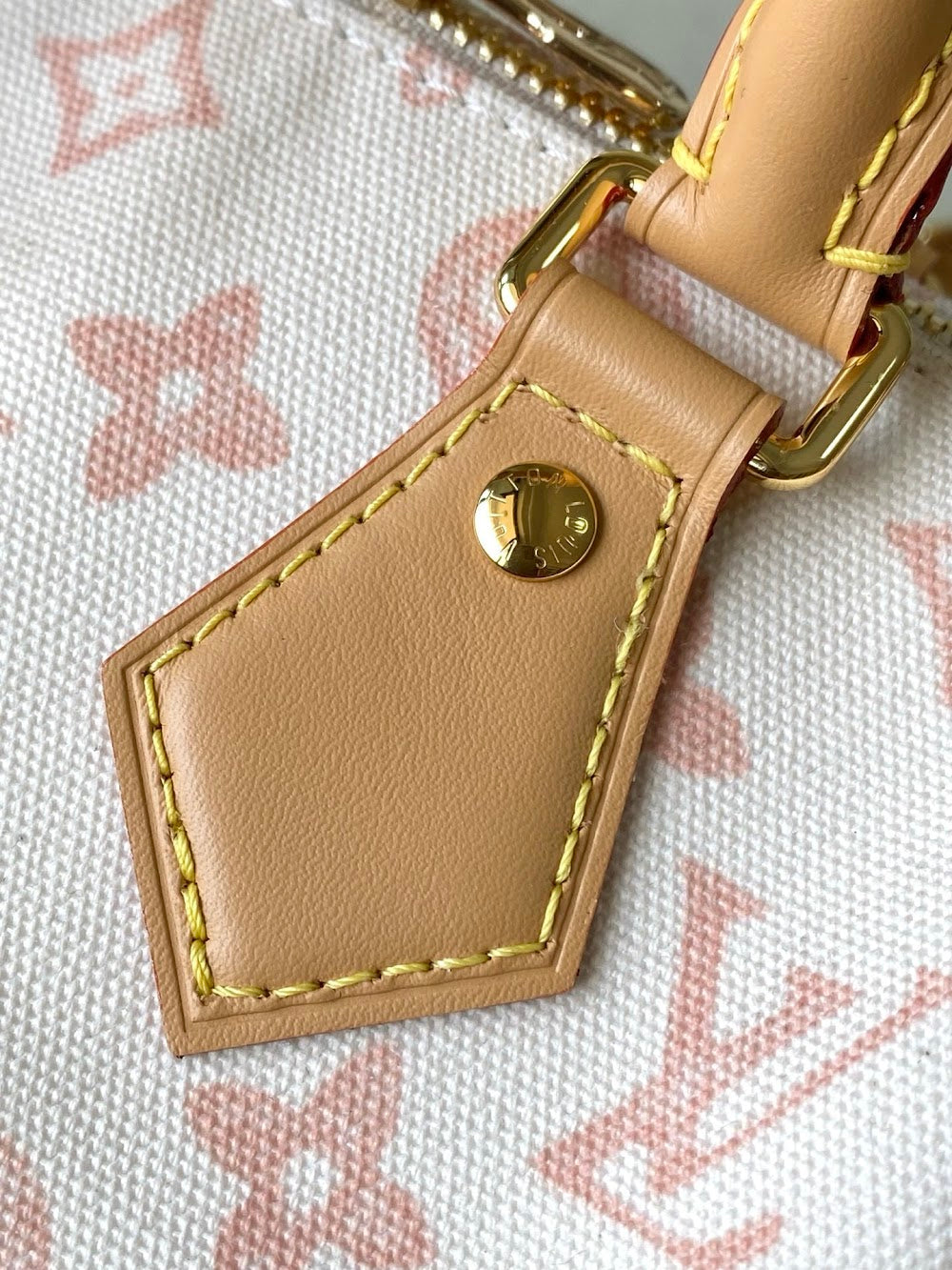 Dragons Bags ln Luxury Bag --96461