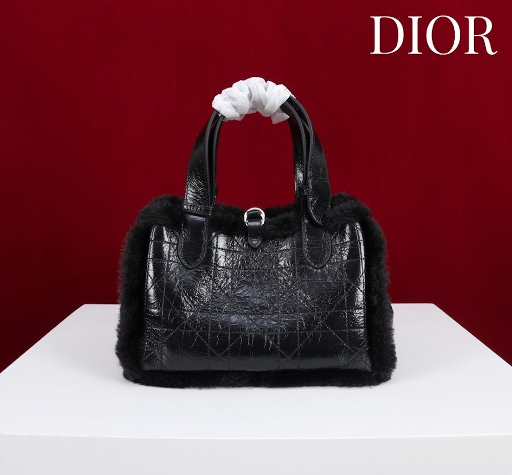 Dragons BagsDiorn Luxury Bag --116120