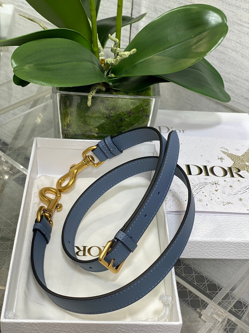 Dragons BagsDiorn Luxury Bag --115004