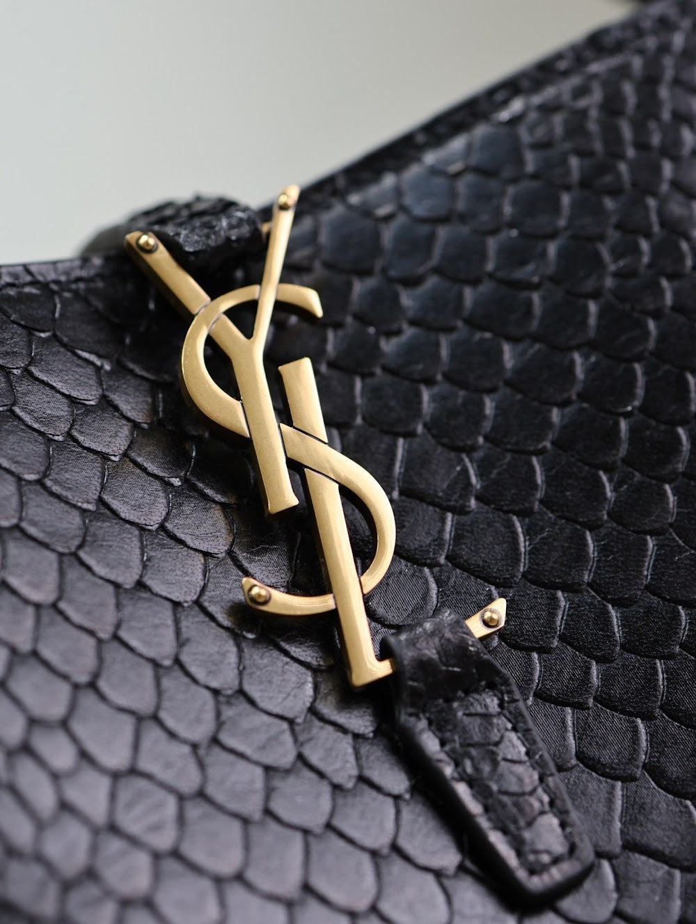 Dragons Bags YSLn Luxury Bag --119463
