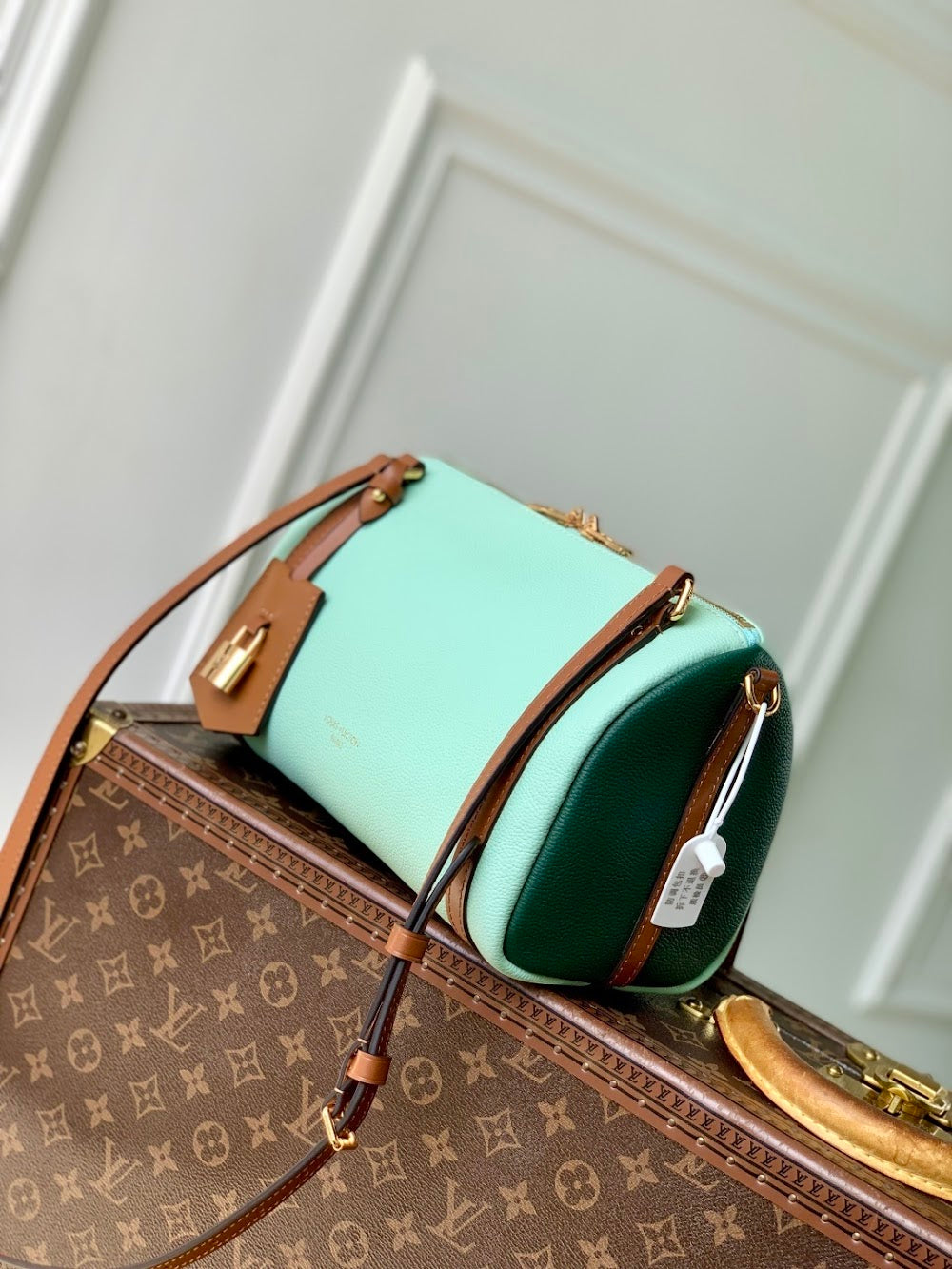 Dragons Bags ln Luxury Bag --96701