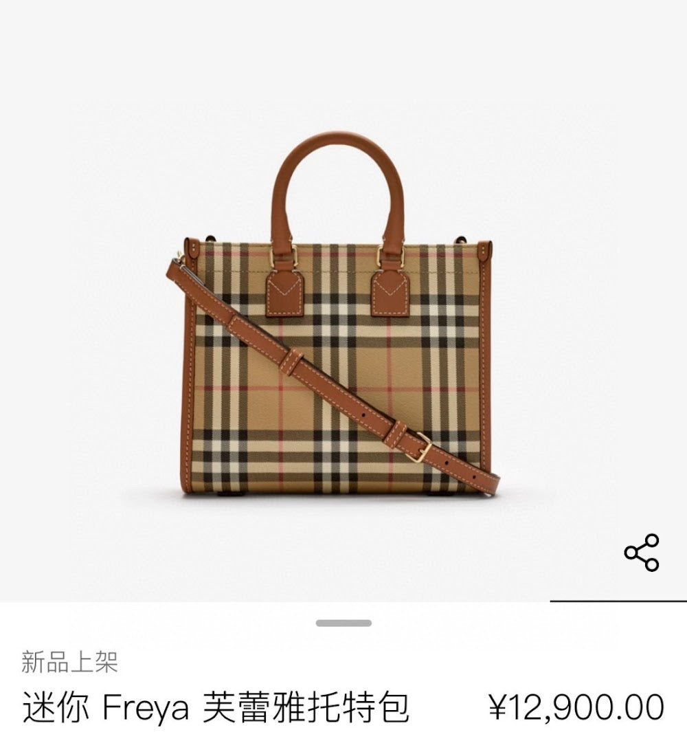 Dragons Bags Burberryn Luxury Bag --92623
