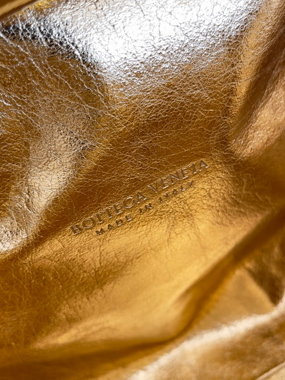 Dragons Bags Bottegan Luxury Bag --91292