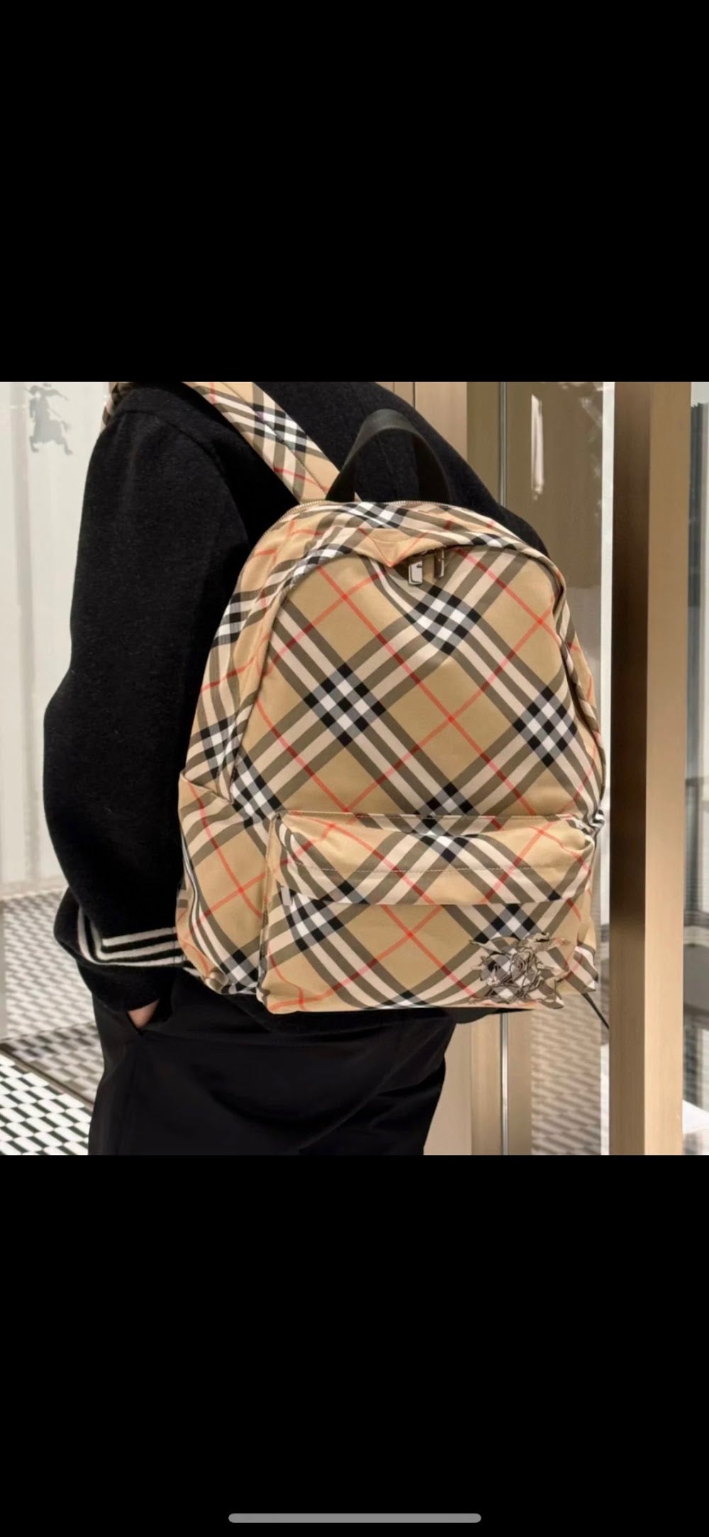 Dragons Bags Burberryn Luxury Bag --93111