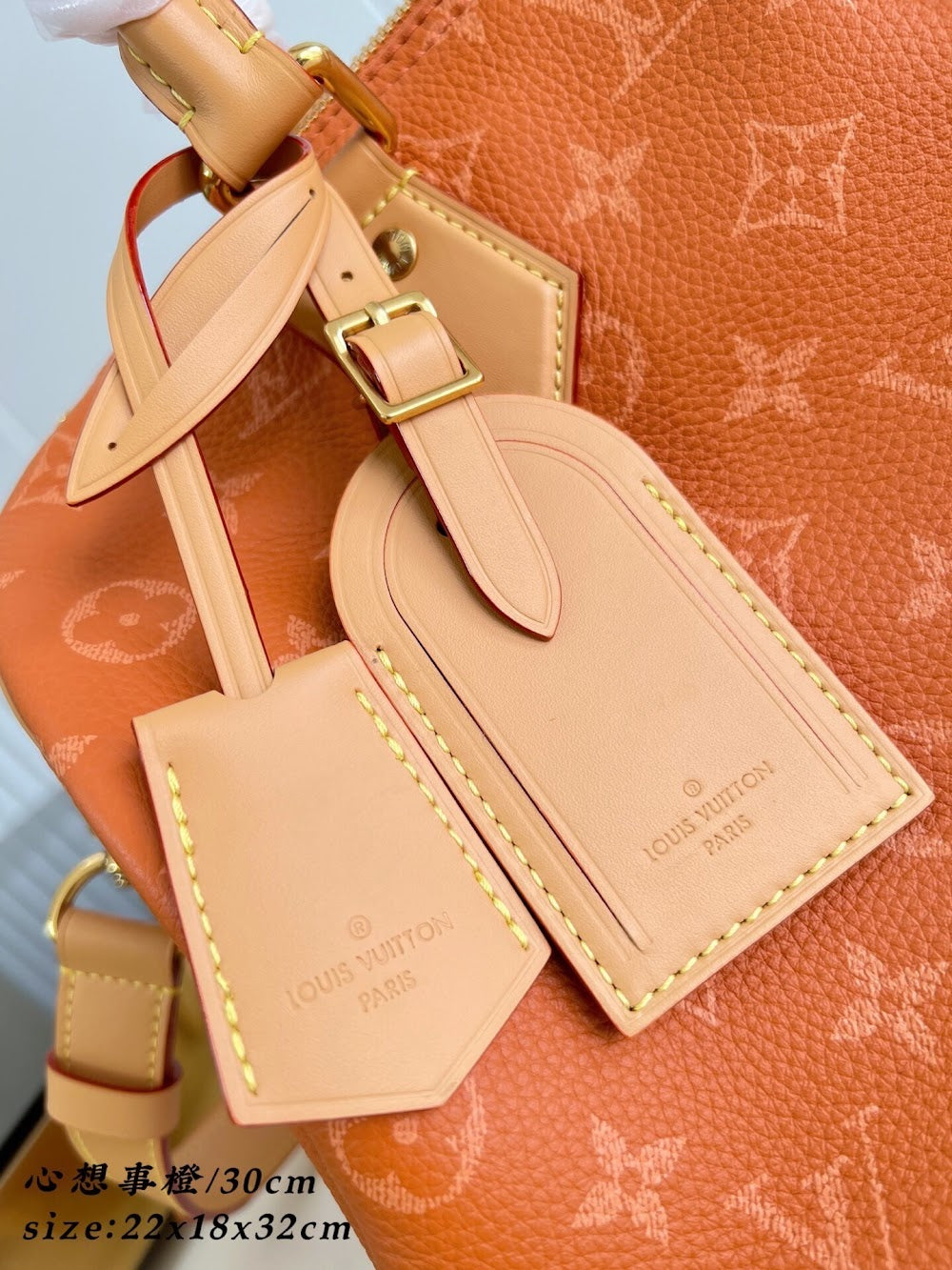 Dragons Bags ln Luxury Bag --96532