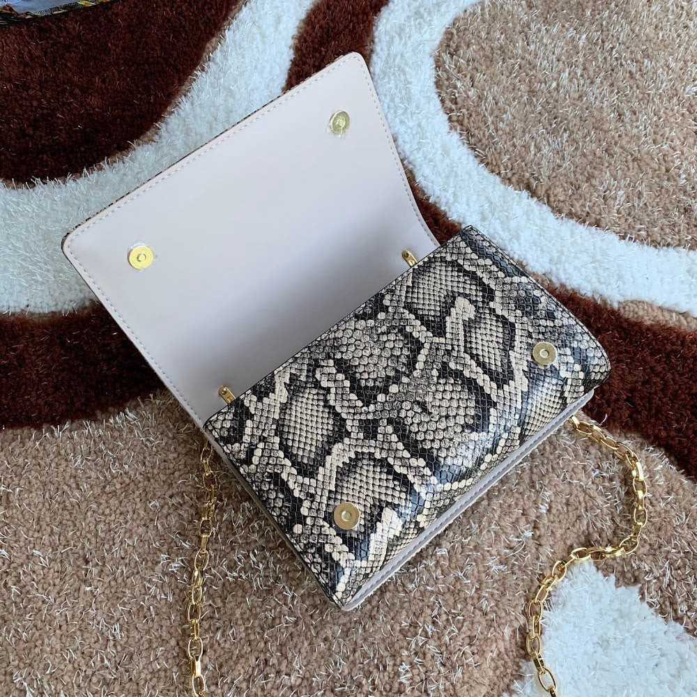 Dragons Bags DGn Luxury Bag --93366