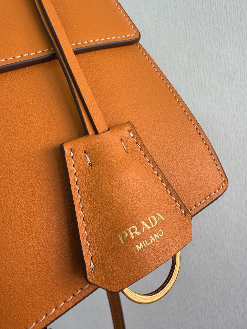 Dragons Bags Pradn Luxury Bag --102541