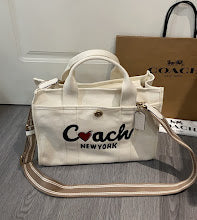 new-luxury-designer-bags-nm6529