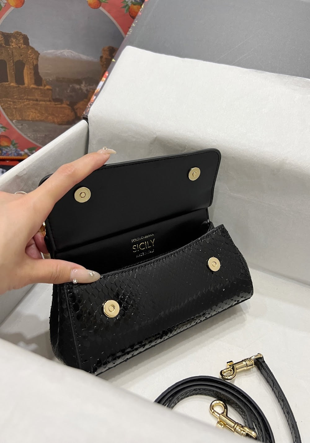 Dragons Bags DGn Luxury Bag --93658